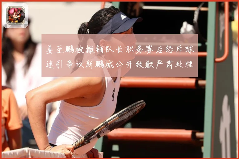 姜至鹏被撤销队长职务赛后怒斥球迷引争议新鹏城公开致歉严肃处理赛事前瞻