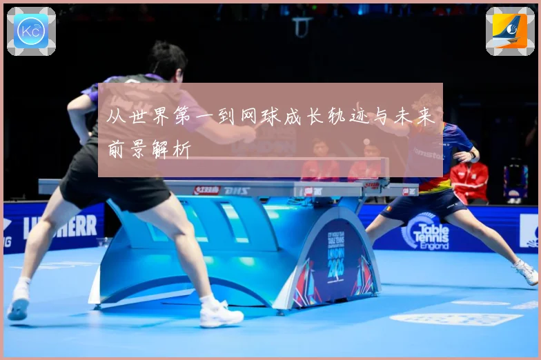 从世界第一到网球成长轨迹与未来前景解析