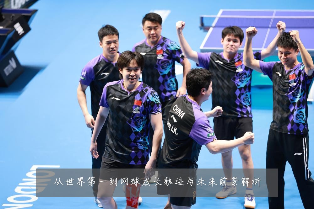 从世界第一到网球成长轨迹与未来前景解析