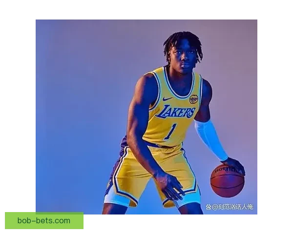 湖人队召回巴夫金与蒂耶罗加强中锋位置深度补充